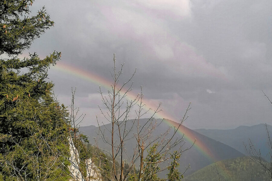 Over the rainbow. Foto: Sarah Pallauf