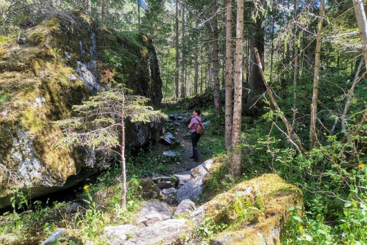 Am Wanderweg zur Schwussner Hütte, Foto Veronika Schöll