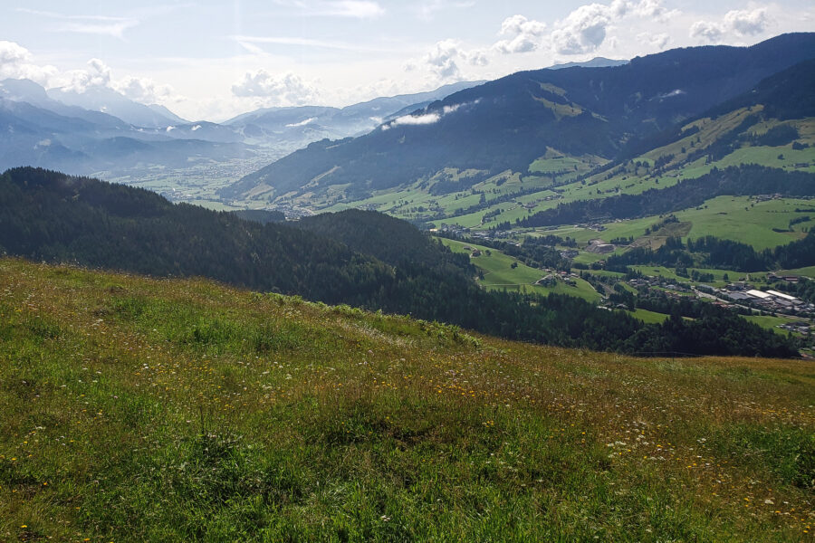 Aufstieg über den Almboden oberhalb der Riedlalm. Foto: Alpenverein Saalfelden