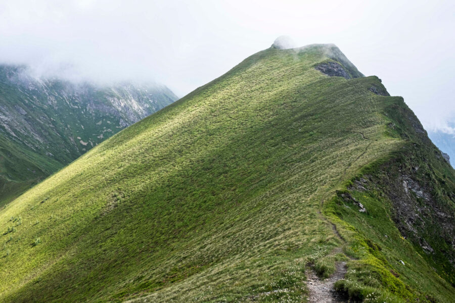 Einfacher Weg über grüne Kämme. Foto: Birgit Reiter