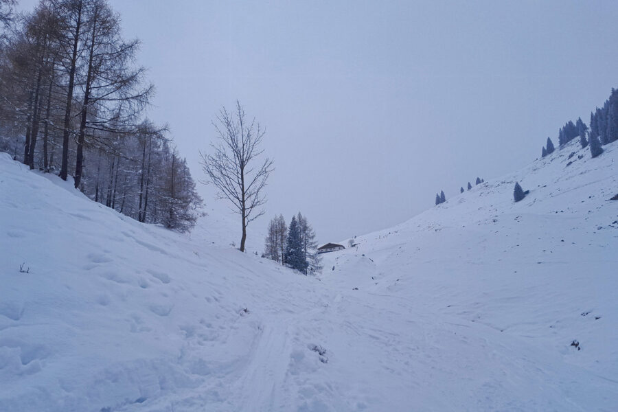 Blick voraus zur Winterstelleralm. Foto: Anna Siebenbrunner, POW AT