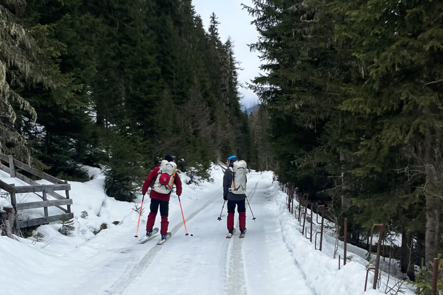 Auf der festen Schneeoberfläche der Forststraße kann man die Ski gut gleiten lassen. Foto: Mountain Tribe