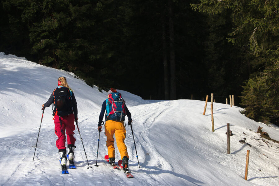 Auf der Forststraße liegt endlich ausreichend Schnee, um die Skier als Fortbewegungsmittel zu verwenden! Foto: Michael Pröttel (Mountain Wilderness Deutschland)