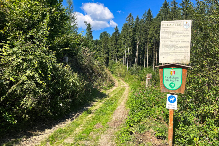 Waldweg ins Naturschutzgebiet Feldaisttal