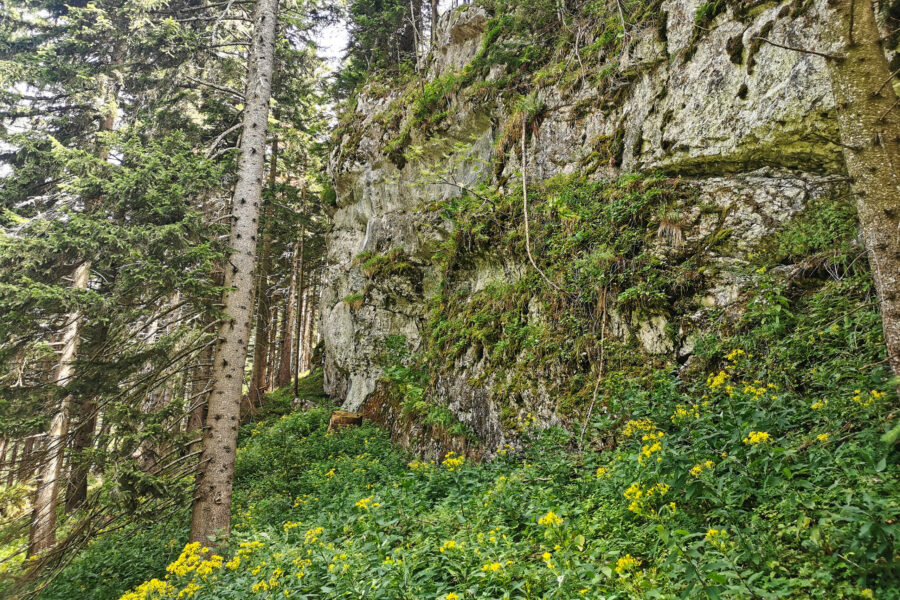 Breite Felswand (bald am Ziel. Foto: Sonja Wesely