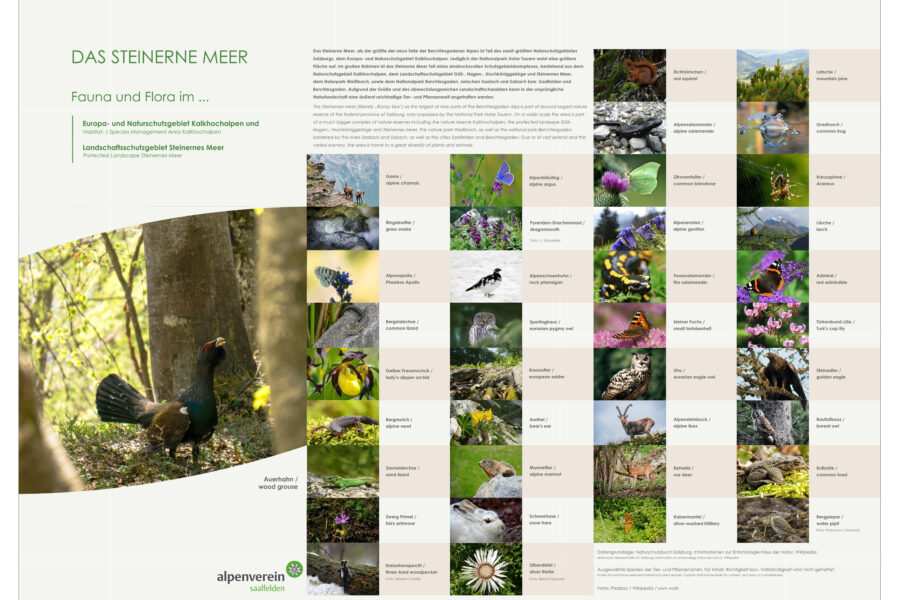 Flora und Fauna Guide des Alpenvereins Saalfelden. Foto: Alpenverein Saalfelden