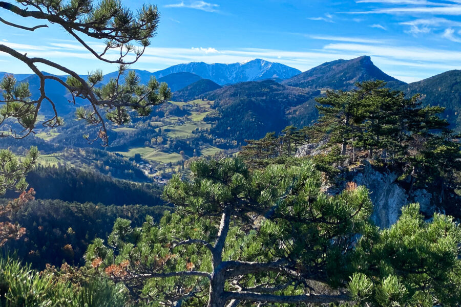 Blick von den Balbersteinen zum Schneeberg. Foto: Peter Backé
