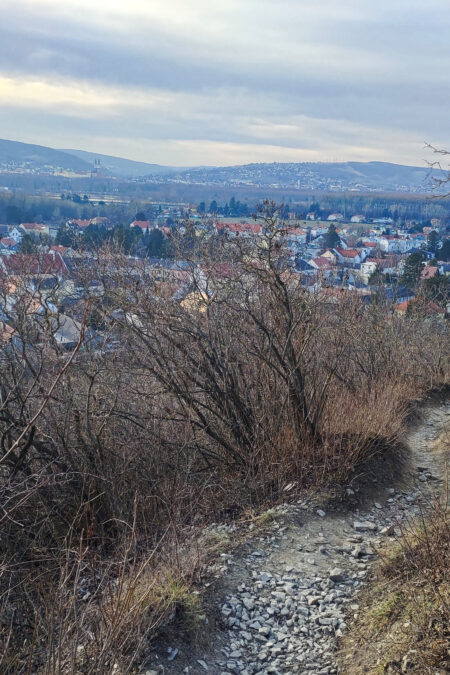 Abstieg am Nordwienersteig nach Langenzersdorf, im Hintergrund Klosterneuburg. Fotos: Simon Widy