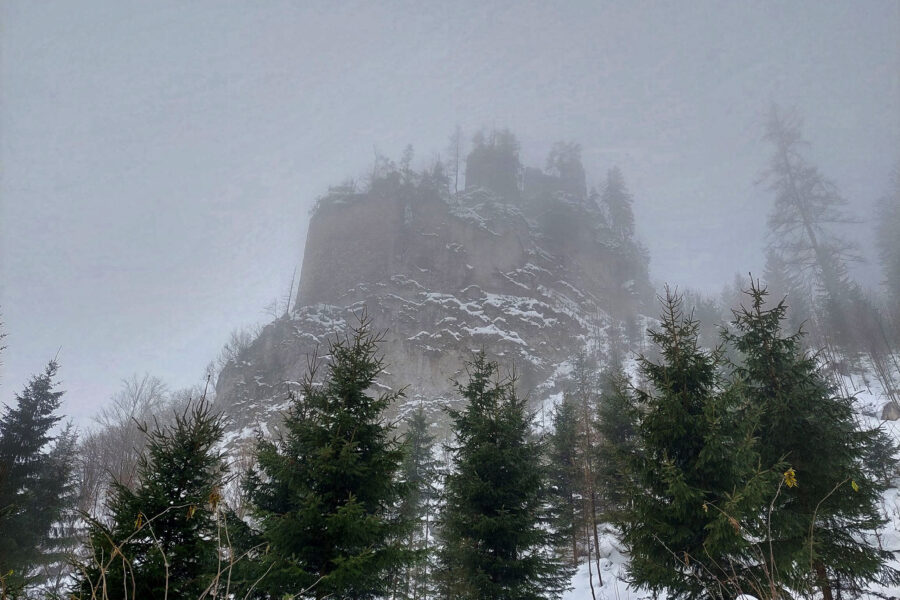 Die Umrisse des Felsens und der Burgruine Kammerstein im Nebel. Foto: Alice Frischherz
