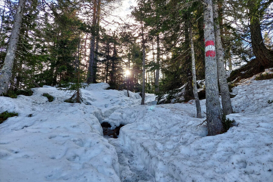 Steig aufs Gindlhorn mit Spuren im Schnee. Foto: Alice Frischherz