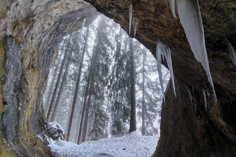 Weitwinkel-Blick aus dem Inneren der Grotte. Foto: Alice Frischherz