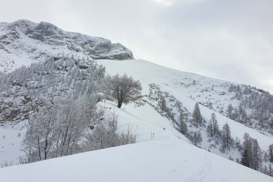 Der Endpunkt meiner Skitour. Eigentliches Ziel ist der höchste Punkt des obersten Feldes. Foto: Maresa Brandner.