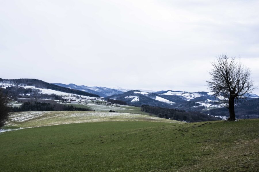 Alpenvorlandsaussicht mit Ötscher ganz hinten. Foto: Birgit Reiter
