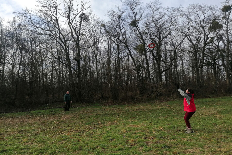 Frisbee am Felde. Foto: Sarah Pallauf