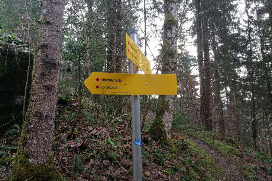 Zum Sonnwendkogel heißt auch Richtung Kogelsbach. Foto: Sarah Pallauf