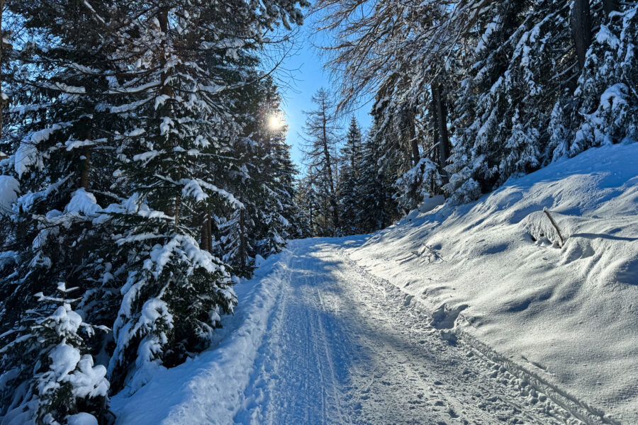 Weg und Rodelpiste zur Nösslachhütte. Foto: Bernhard Walle