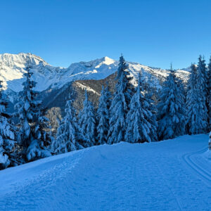 Winterwanderung von Gries am Brenner über die Nösslachhütte zur Bergeralmbahn