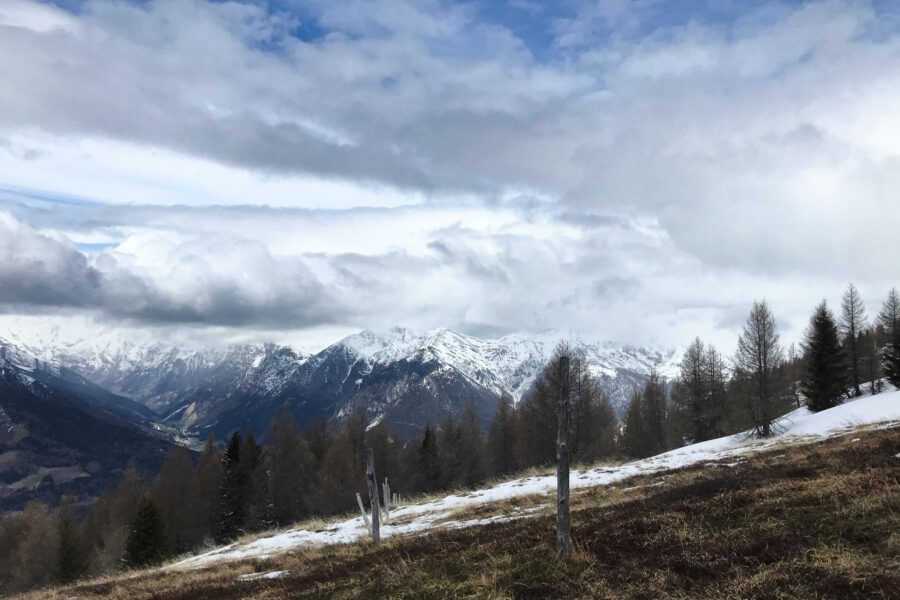 Blick nach Nordwesten auf den Alpenhauptkamm. Foto: David Kurz