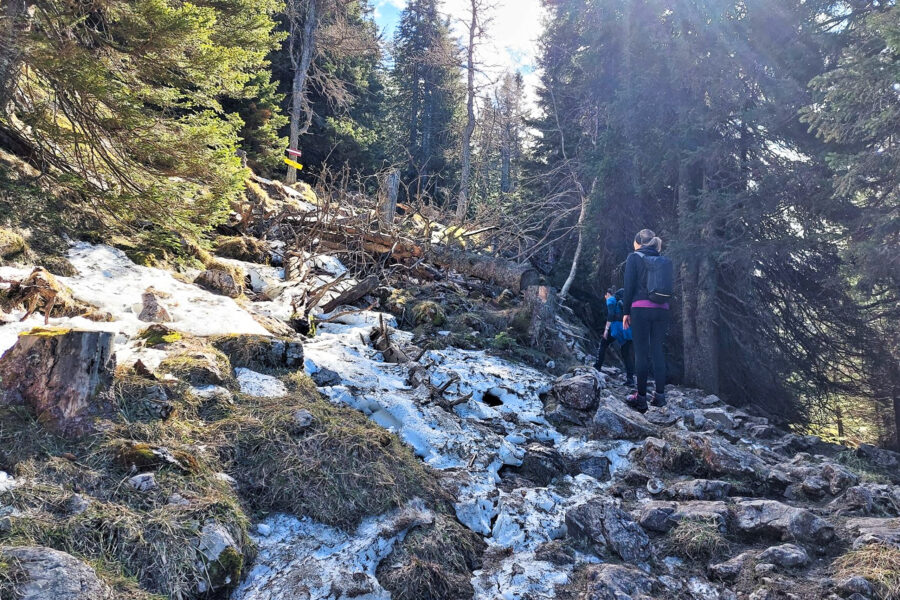 Aufstieg zum Hochlantsch mit Altschnee. Foto: Alice Frischherz