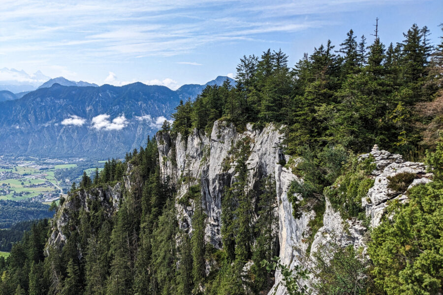 Oben angekommen wieder ein Blick in die Felswand, zwischen den höchsten Bäumen in der Vertikalen verläuft eine kleine Seilbrücke, die fast das Ende des Lead-Klettersteigs markiert. Foto: Thomas Obermair